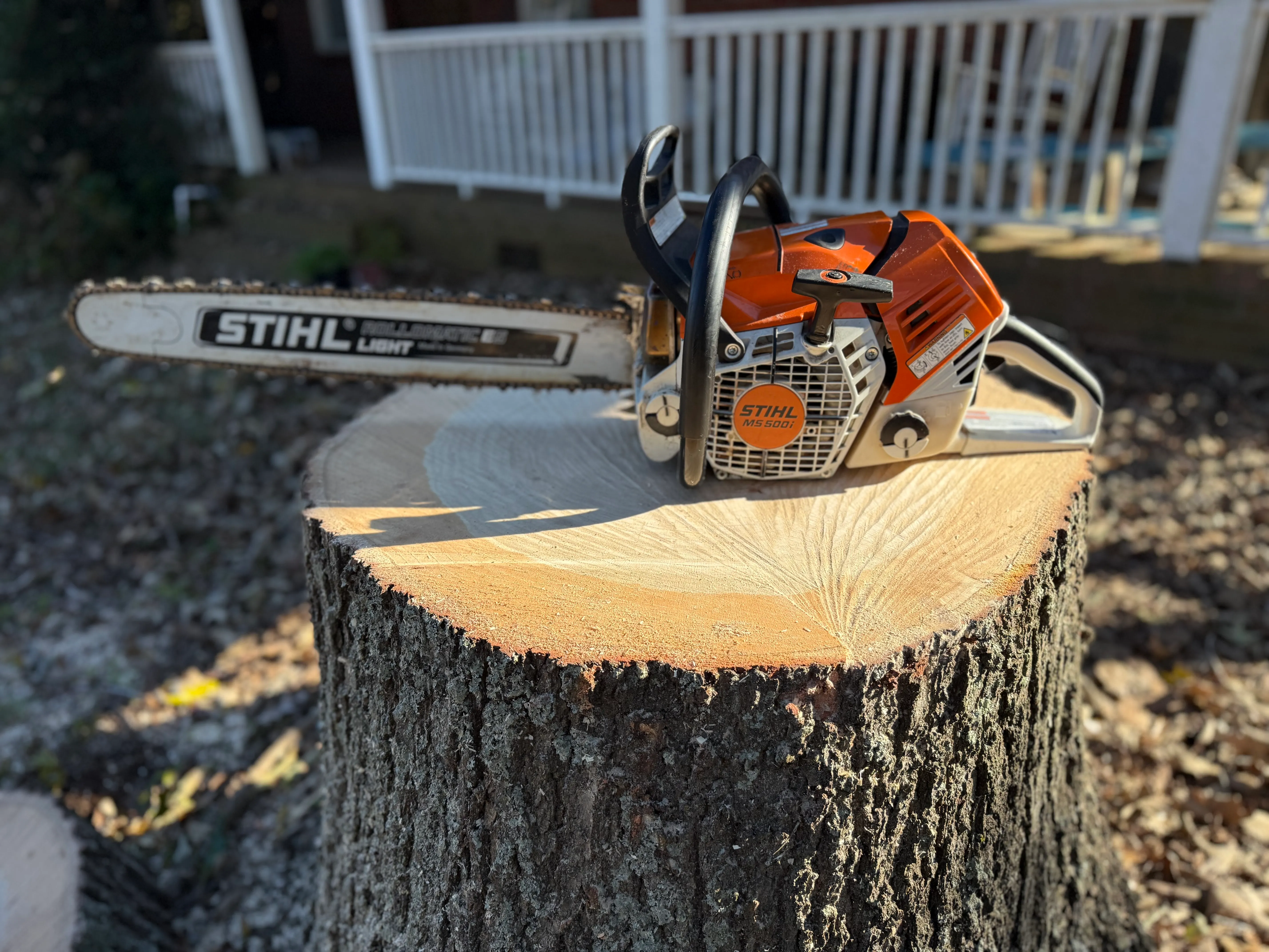 Stihl chainsaw resting on a freshly cut tree stump