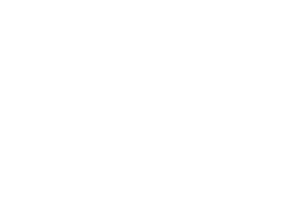 Notch Logo.png