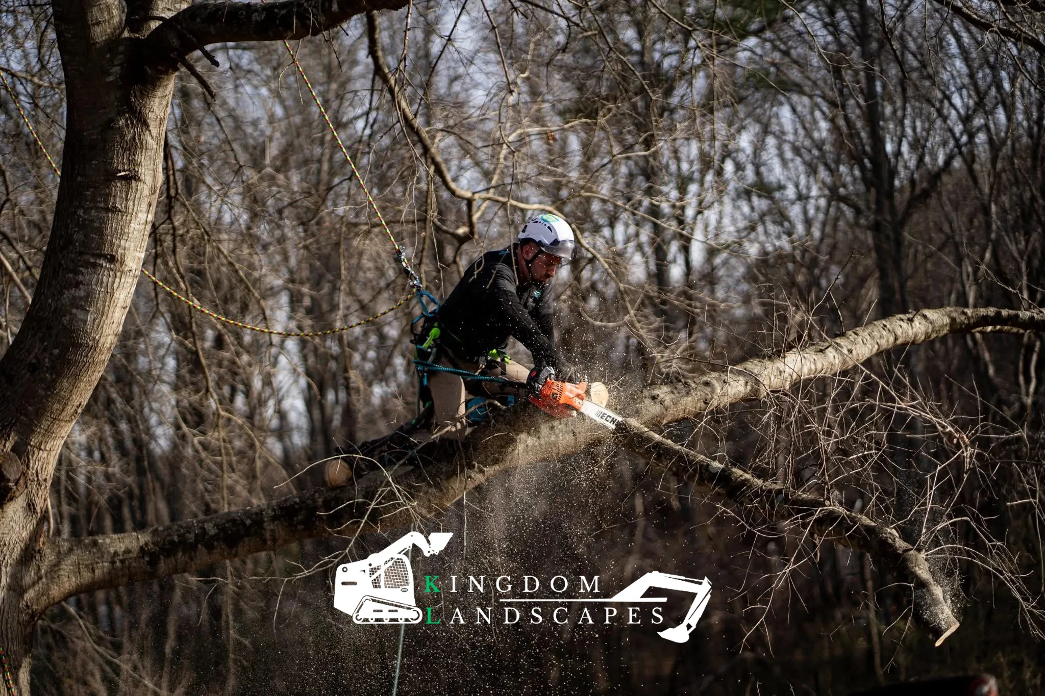 Experienced Tree Pruning & Removal Services in Coats, NC — Kingdom Landscapes