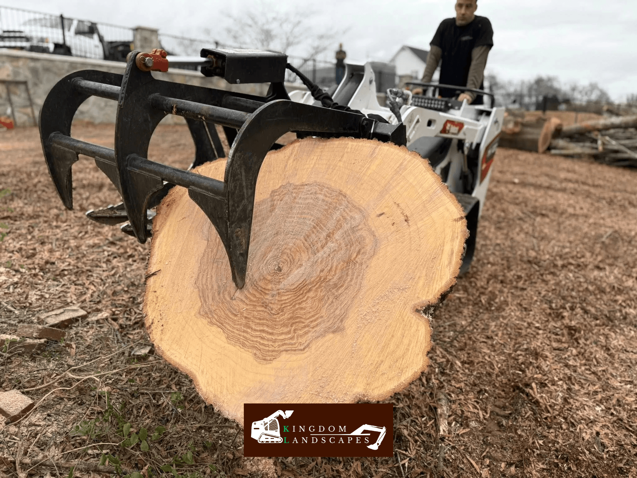Practical & Sustainable Solutions for Tree Trunks After Cutting a Tree