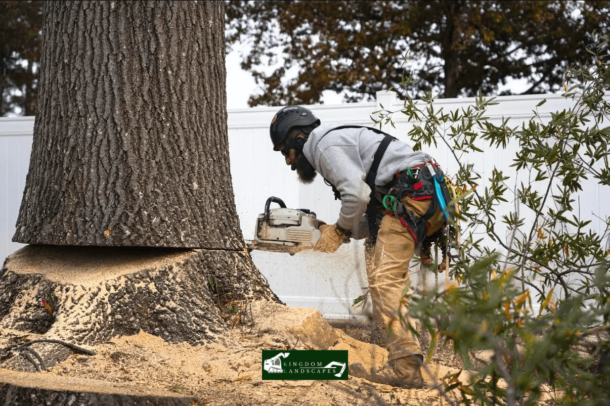 Safety First: Why Tree Removal Isn't a DIY Project